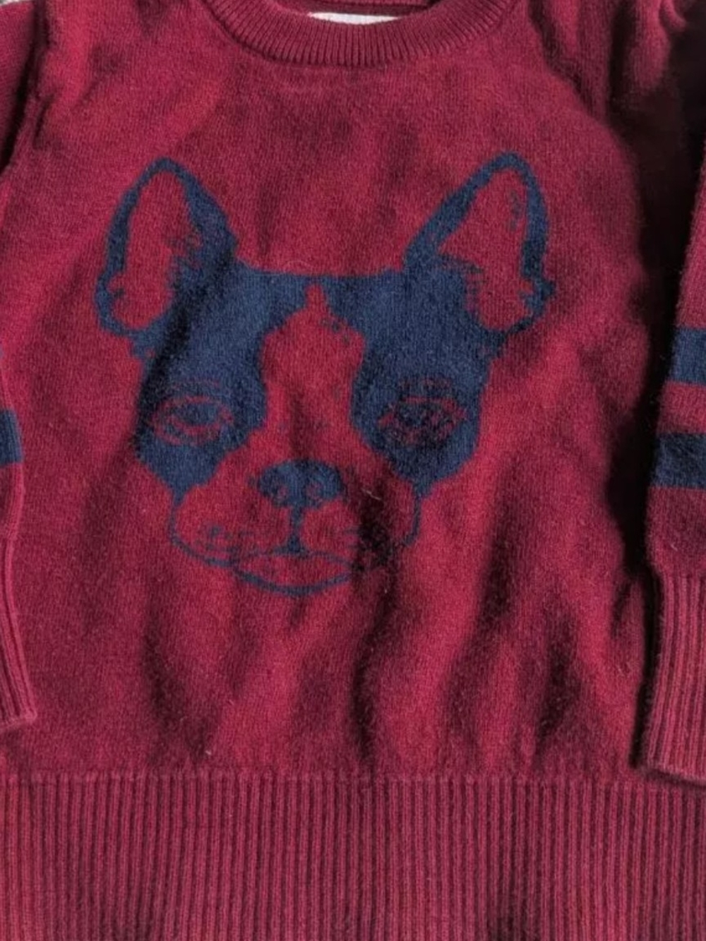 Sovereign Code Burgundy Sweater with Navy Dog Motif